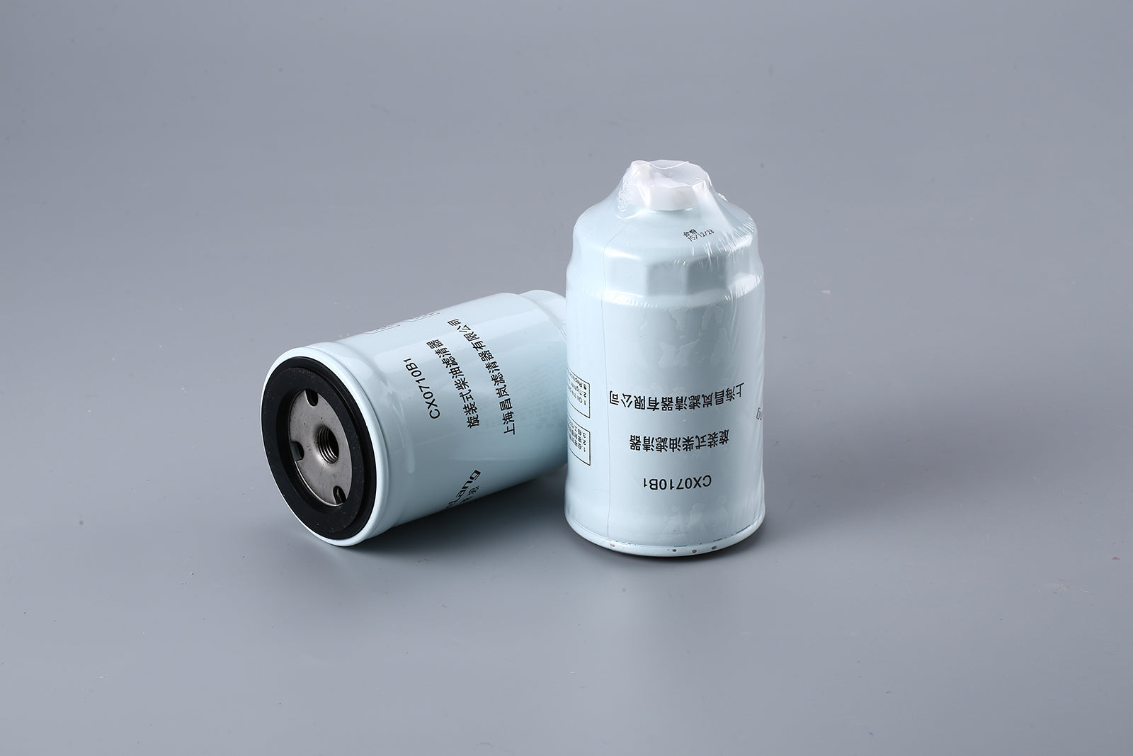 Fuel Filter CX0710B1