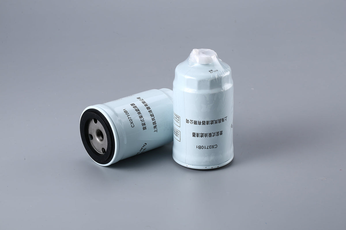 Fuel Filter CX0710B1