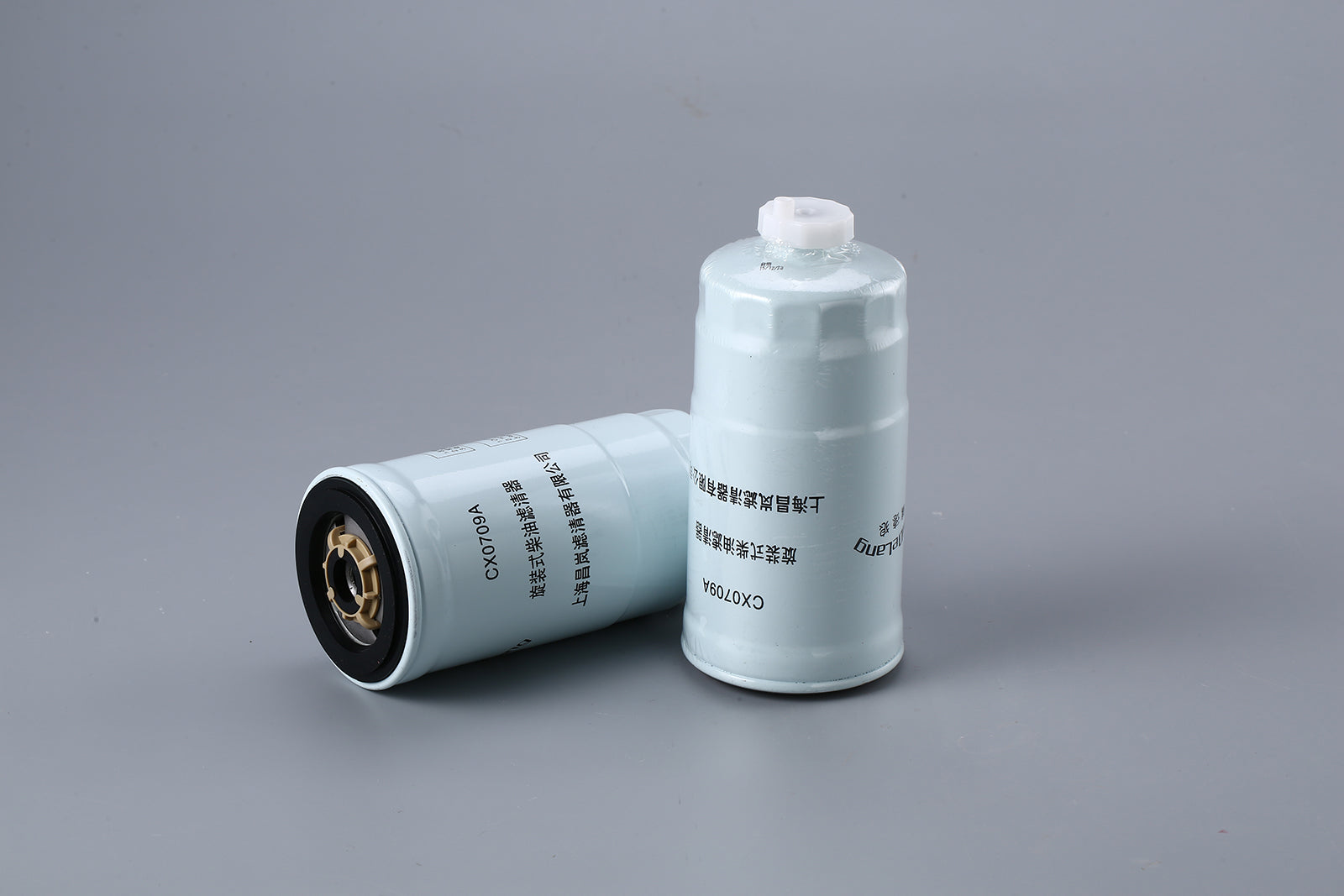 Fuel Filter CX0709A