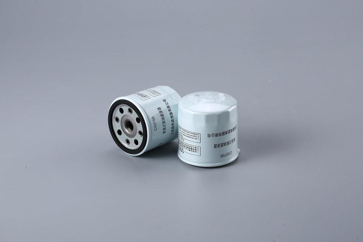 Fuel Filter CX0706