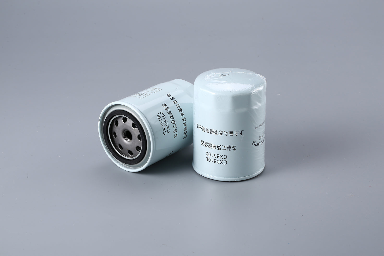 Fuel Filter CX0810L       CX85100