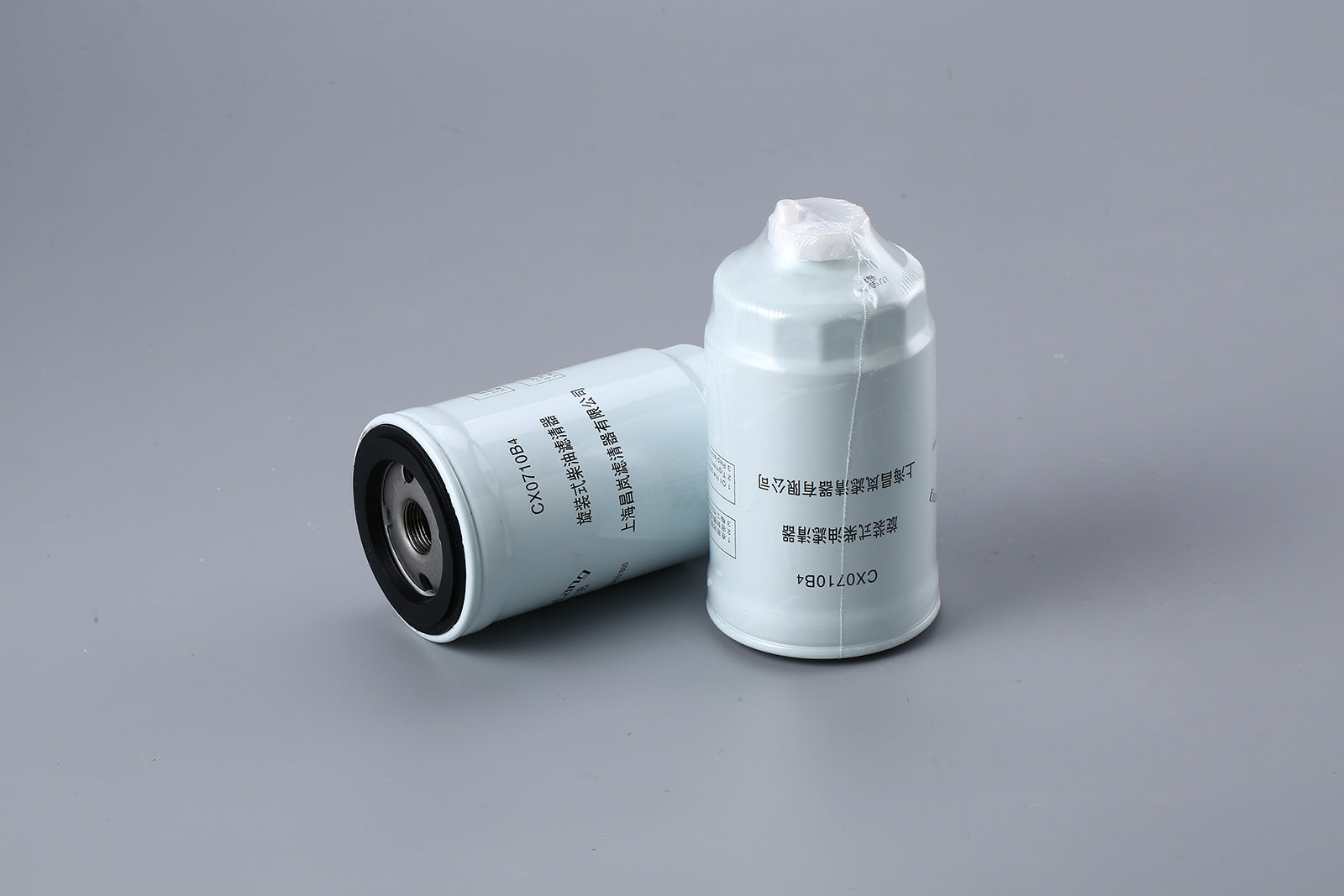 Fuel Filter CX0710B4